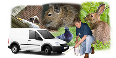 Haslingden local van